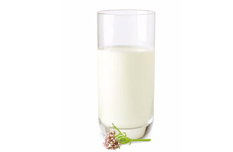 Hay milk – raw milk