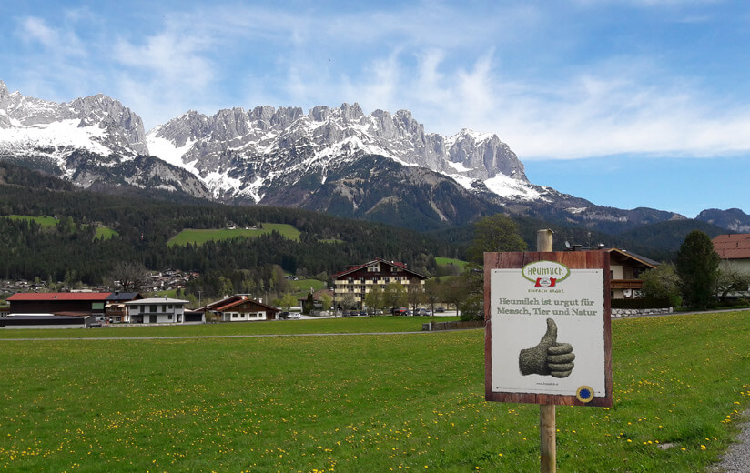 Heumilchbauern lassen Bienen summen