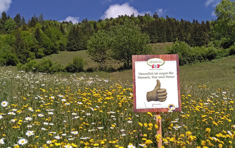 Aktion „Heumilch ist urgut für Mensch, Tier und Natur“ – Siegerfoto erkoren