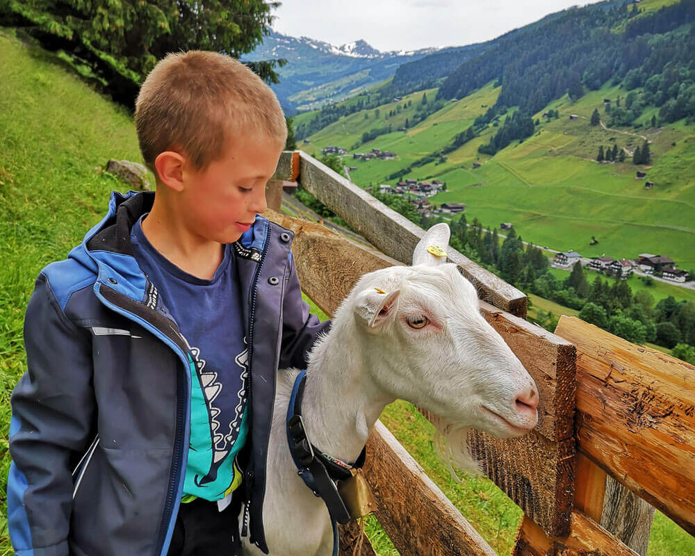 Kinder_am_Heumilchbauernhof