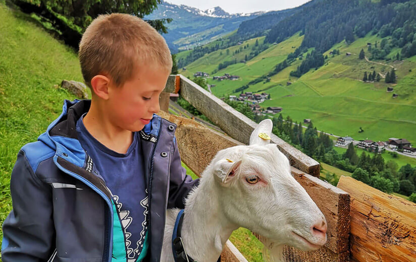 Kind sein am Heumilchbauernhof: „Meine Alexa ist eine Ziege“