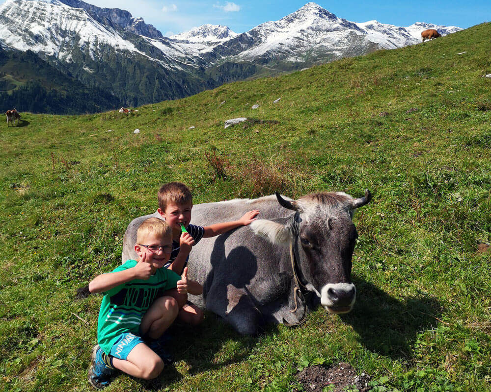 Kinder_Heumilchkuh