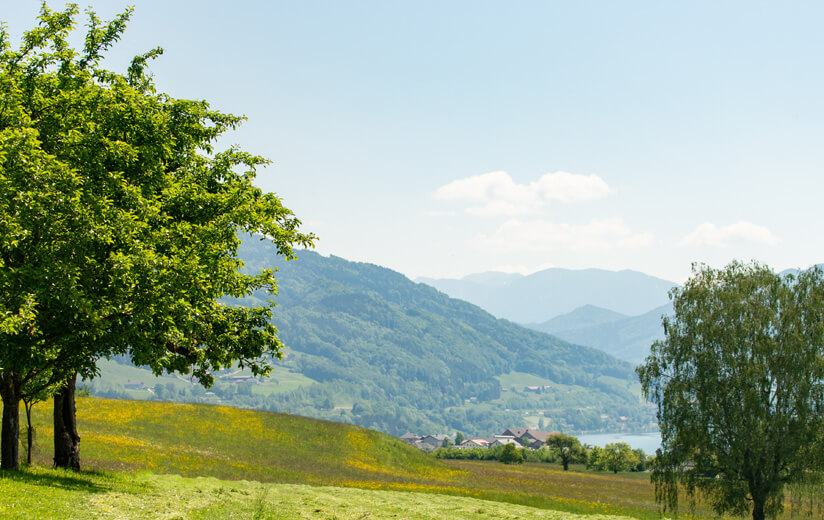 Urgute Heumilch-Rezepte für ein Picknick im Grünen