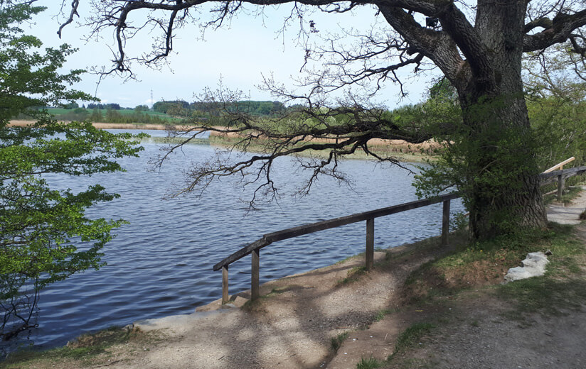 Maisinger_See_Allgäu