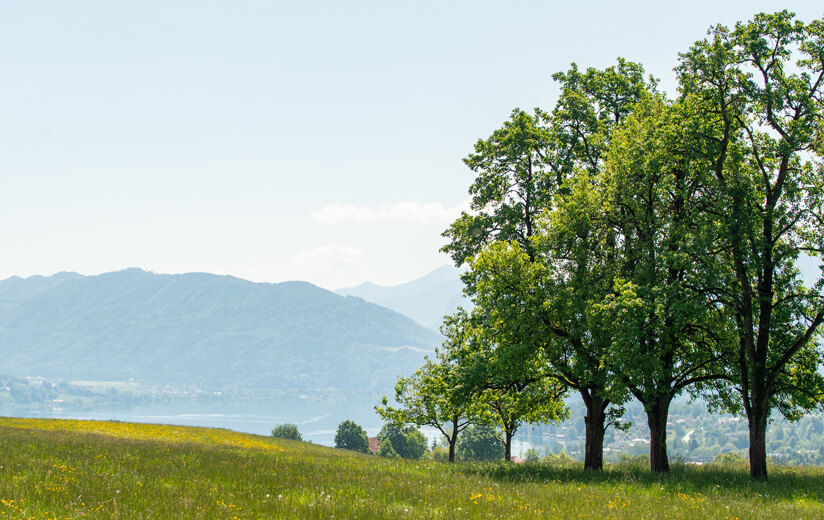 Ausblick_Mondsee