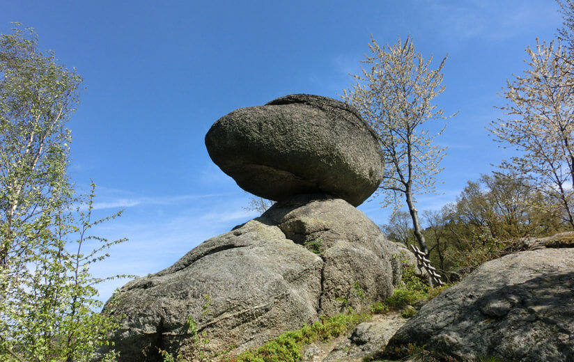 Wanderung_Schwammerlstein