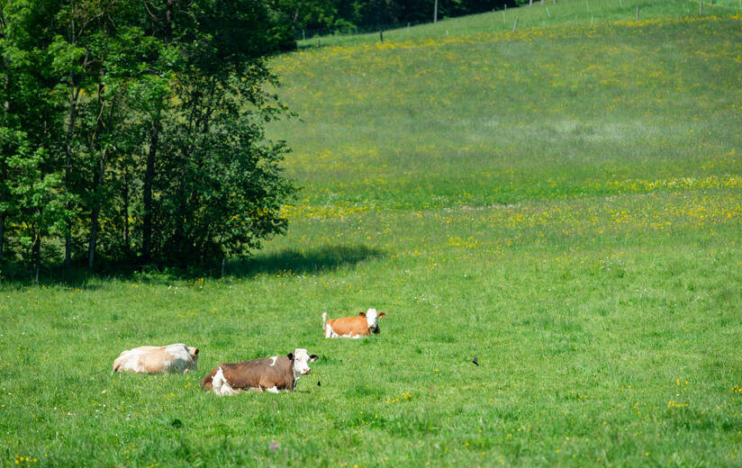 Helenweg_Oberösterreich