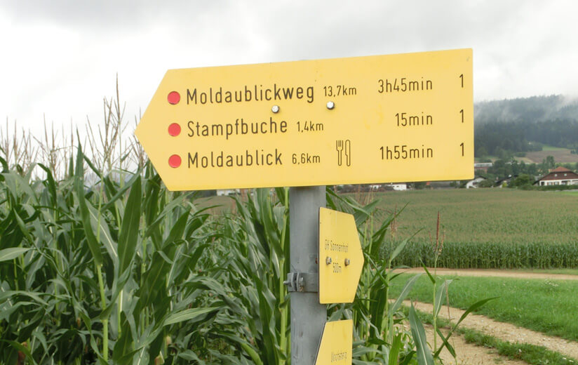 Wanderung_Richtung_Moldaublick