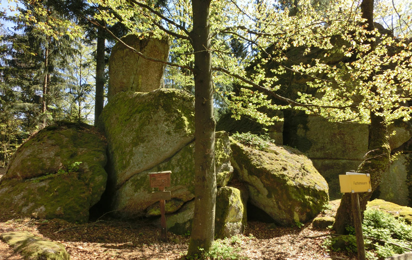 Weg_Schwammerlstein