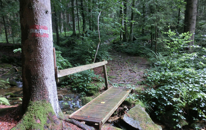 Brücke_Moldaublick