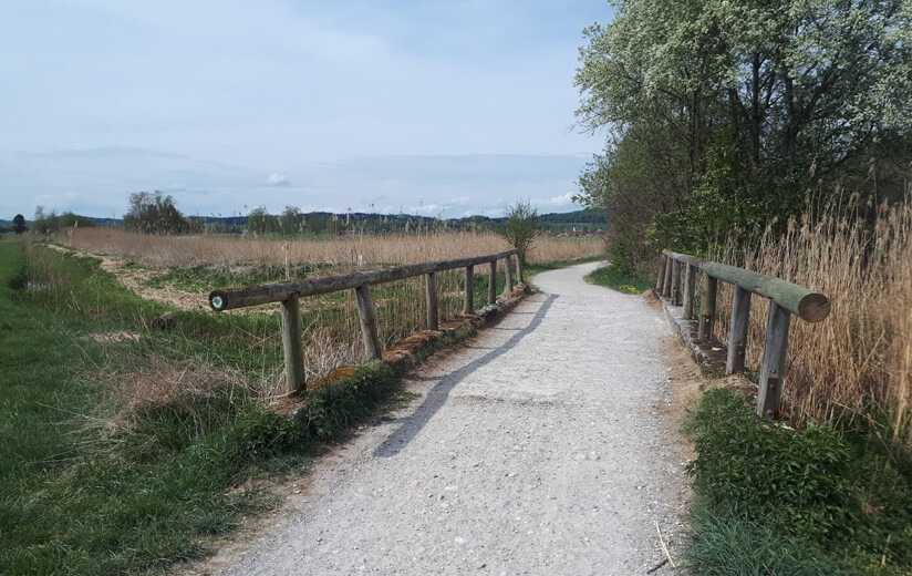 Heumilch-Wanderung #1: Mit der Familie unterwegs im Allgäu