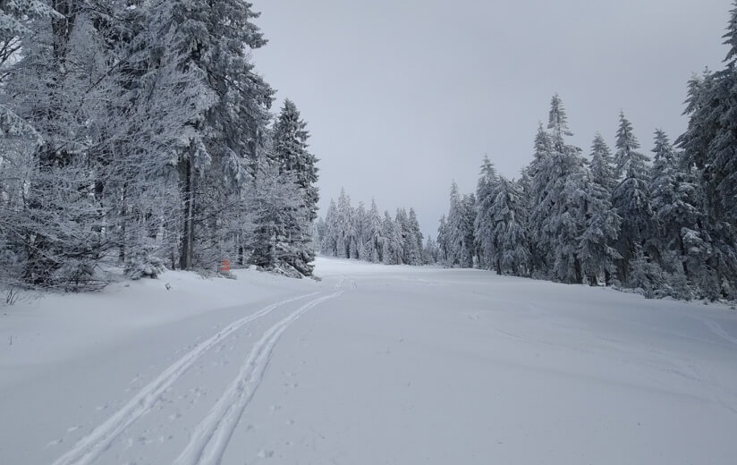 Heumilch Winteraktiv #1: Schneeschuhwanderung auf der Hochficht-Gipfelrunde