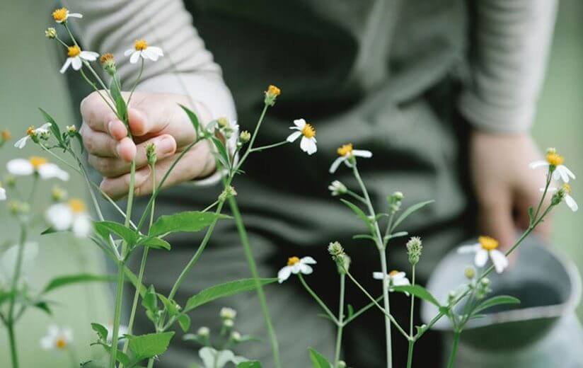 Urgut zur Natur: So schaffst du einen artenfreundlichen Garten oder Balkon