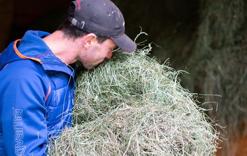 Heuernte: Wie Heumilchbauern Schnitt für Schnitt für bestes Futter sorgen