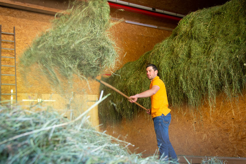 Heumilchbauer_Trocknungsanlage