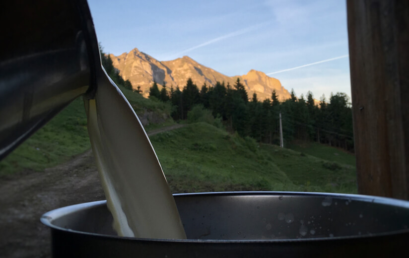 Seien Sie mit dabei, wenn auf der Heumilch-Alm köstliche Produkte hergestellt werden.