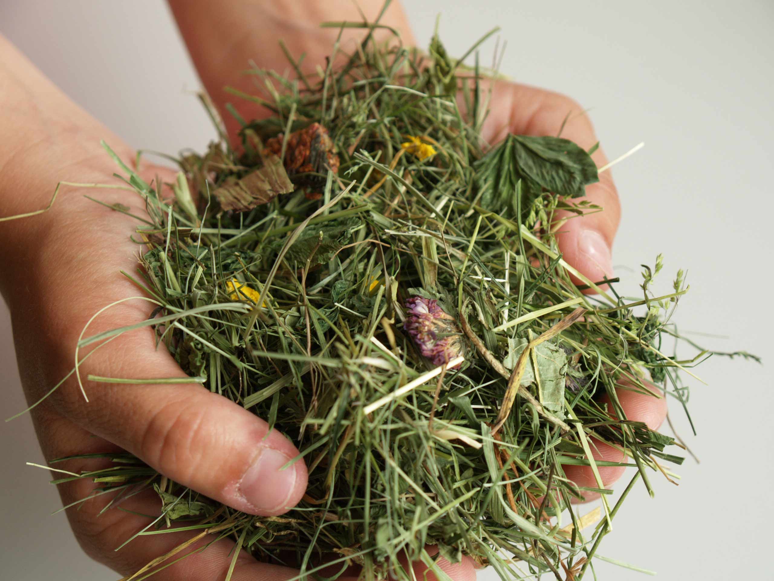 What is important to consider when drying hay?