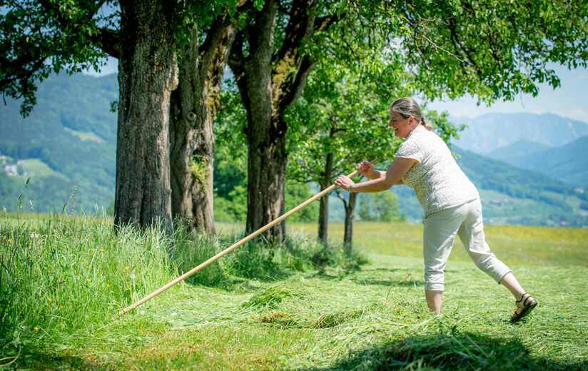 Frauen-in-der-Landwirtschaft