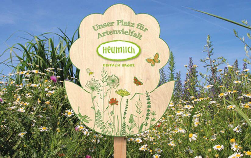 Mehr Platz für Artenvielfalt: Was hinter den Heumilch-Blumenholztafeln steckt