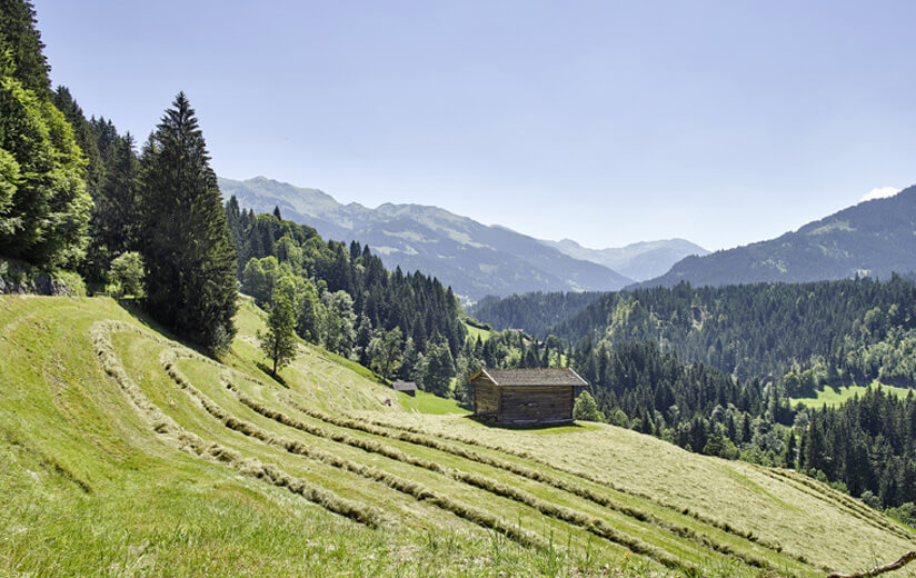 #12: Ab auf die Alm