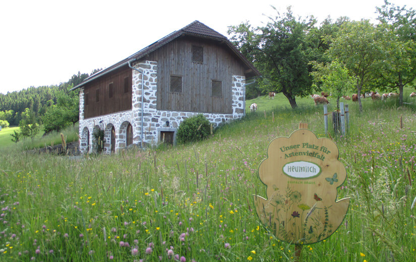 Holzblumentafel-Aktion – Siegerfoto erkoren