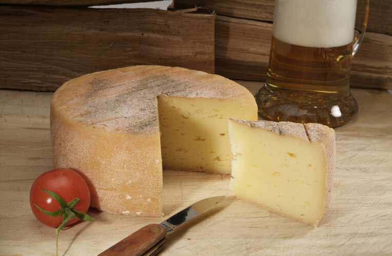 Elixhausner Bio Bierkäse