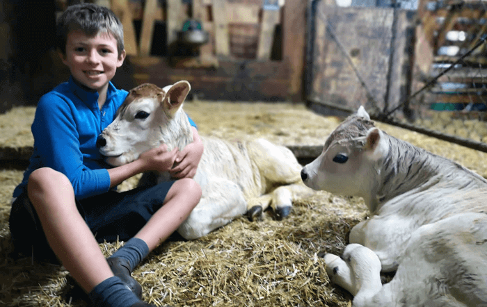 Familiensache Heumilchbauernhof: „Bei uns helfen vier Generationen zusammen!“