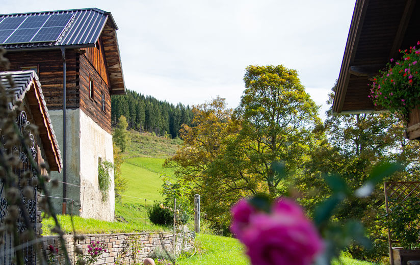 Heumilchbauernhöfe_kleine_Struktur