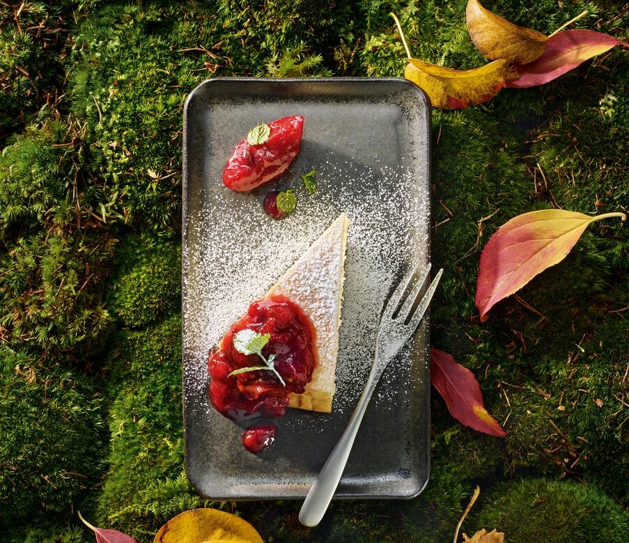 Heumilch-Topfen-Torte mit Zwetschkenröster