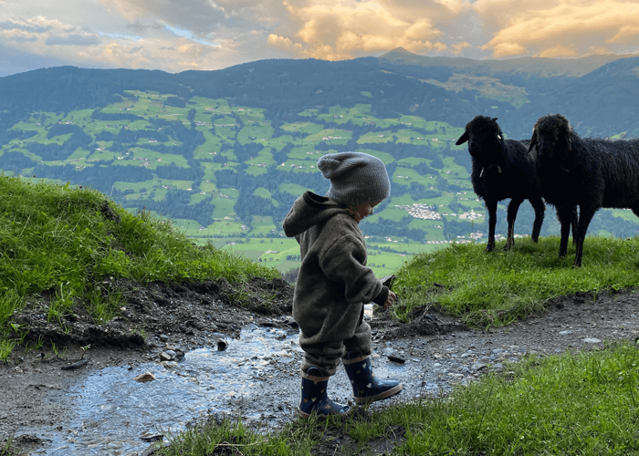 Heumilchwirtschaft in Steillage