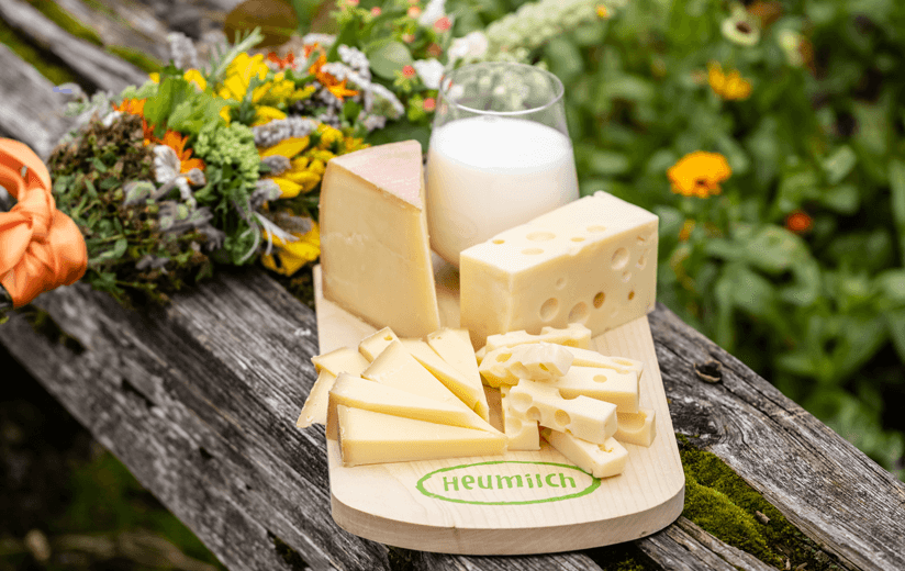 Kulturprogramm für Heumilch-Käse – Funktionen und Aufgaben von Käsereikulturen und Lab