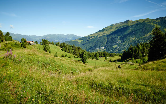 Ein urgutes Naturerlebnis: Wie die Heuwirtschaft zum nachhaltigen Tourismus beiträgt