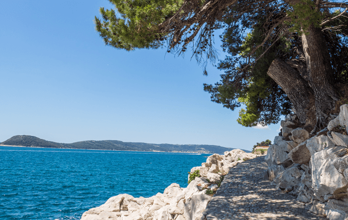 Urgute Planung: So geht Urlaub als Heumilchbäuerin