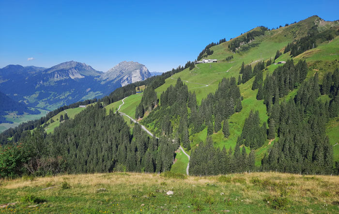 Alpe Neuhornbach Wanderung