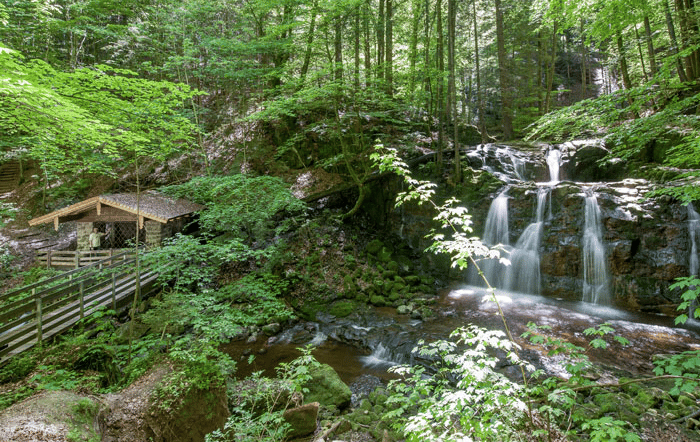 Mit dem Klimaticket unterwegs im Salzburger Seenland: Wanderung zum Teufelsgraben & Wasserfall