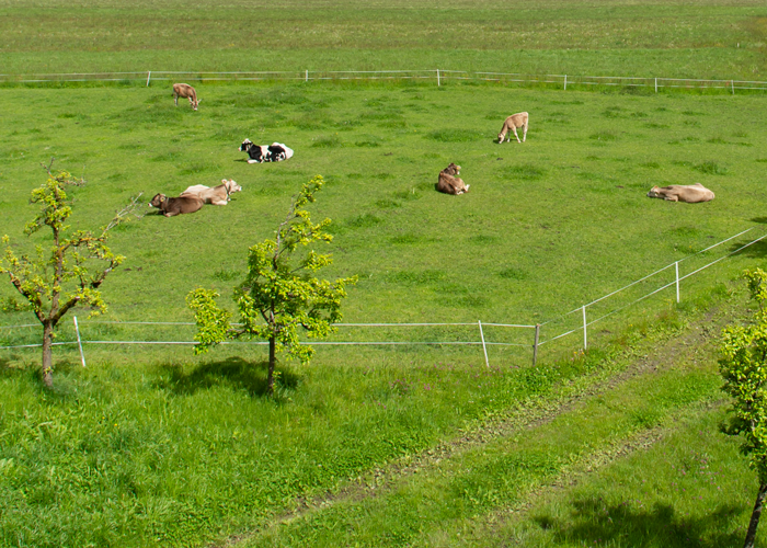 Wanderung Klimaticket Buchberg