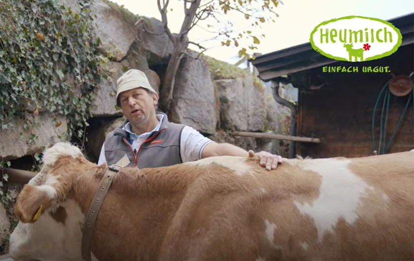 Gesundheit und Tierwohl: Welche Maßnahmen Heumilchbäuerinnen und Bauern für ihre Kühe vornehmen