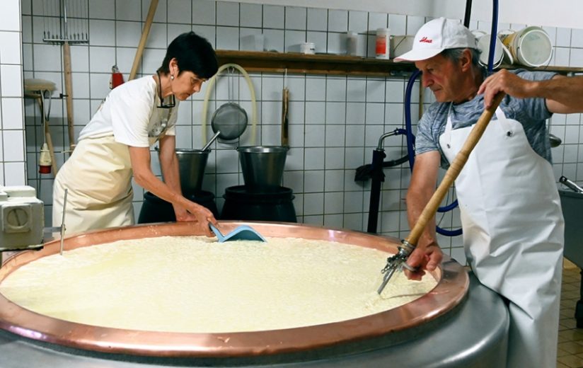 Feinster Heumilch-Käse von der Alpe Obere im Bregenzerwald