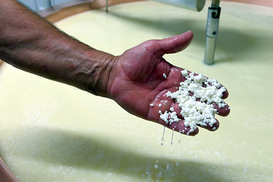 Produktion Heumilch-Käse