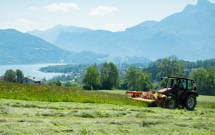 Die Heumilch-Käseregionen und ihre Besonderheiten in Österreich und dem Allgäu