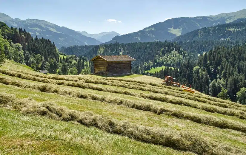 Weltbodentag: Heuwirtschaft schützt Dauergrünland