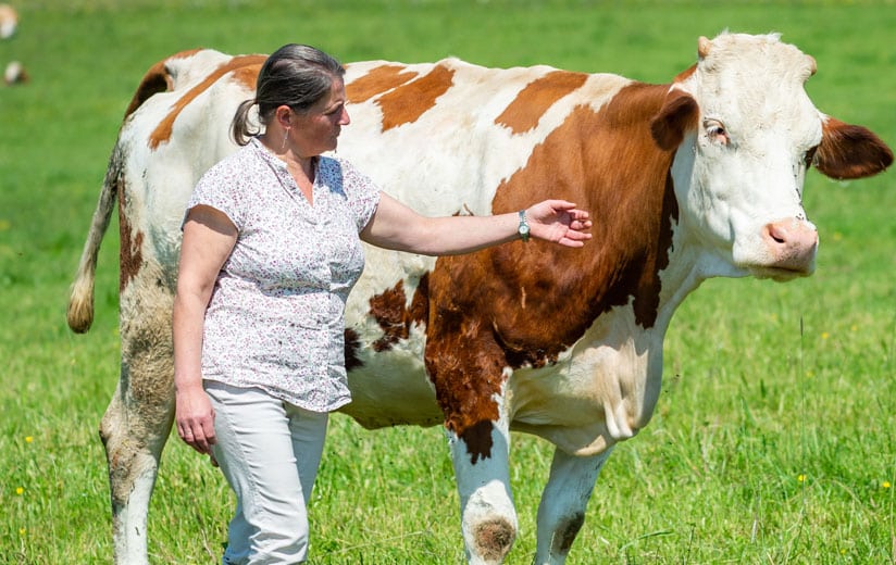 Mit Heumilch-Genuss das Tierwohl unterstützen