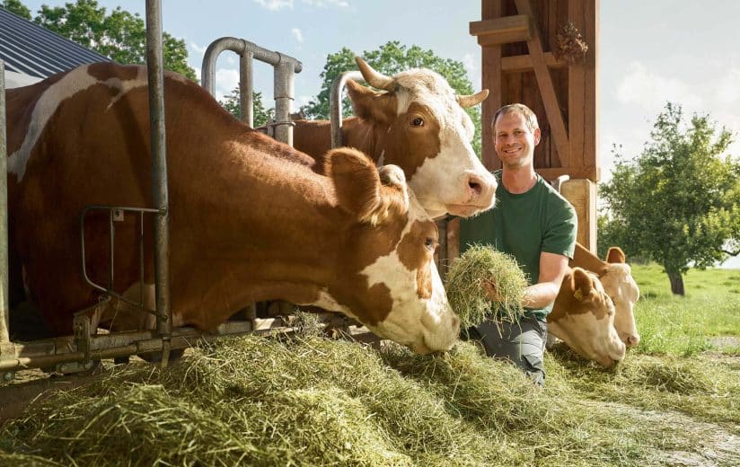 Tradition und Tierwohl am Wallersee