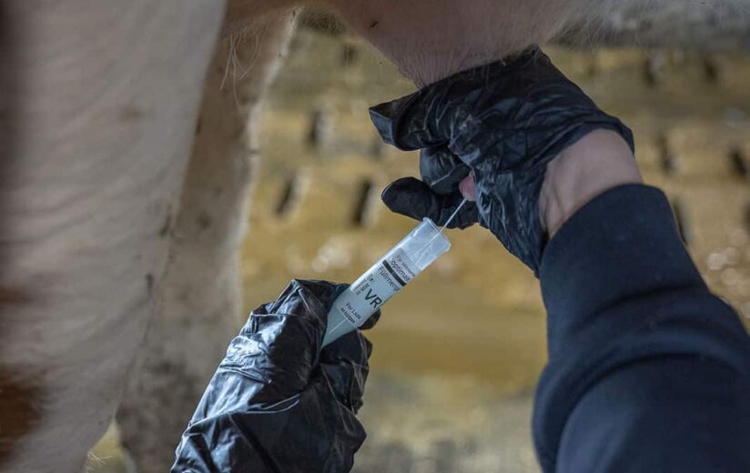 Urgut Leben Journal 10