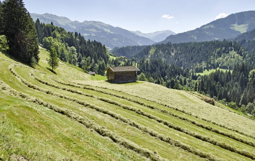Heuernte Berglandschaft