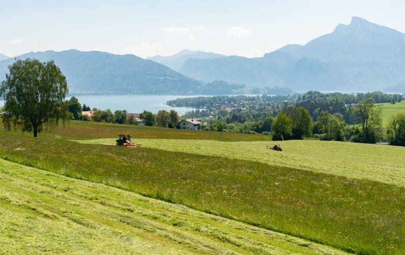 Heuernte Berg- u. Seenlandschaft