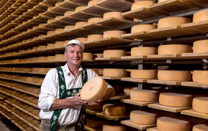 Medaillenregen für die Bio-Schaukäserei Wiggensbach bei der Käsiade 2025