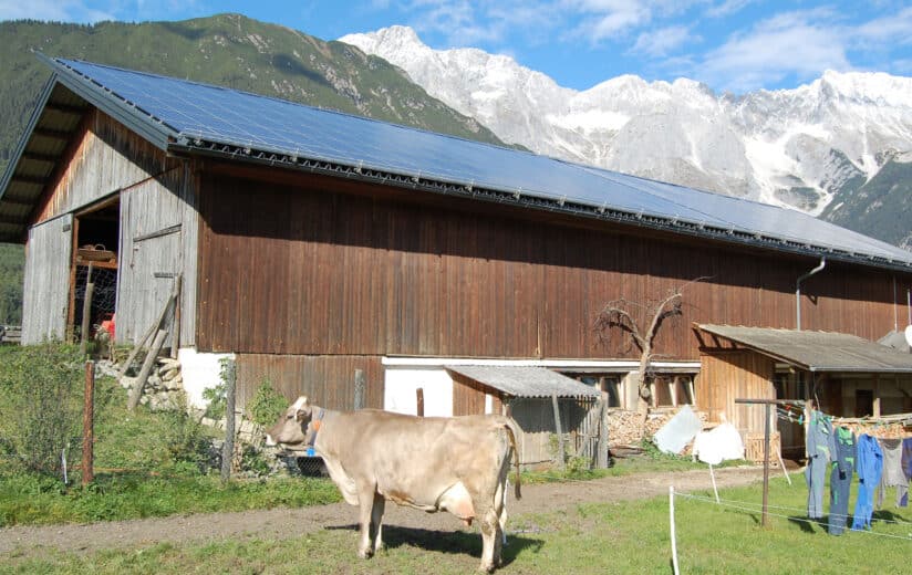 Urgut Leben Journal 12