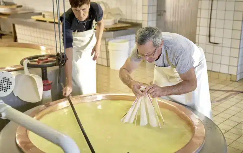 Heumilch-Käse des Monats September: Alm-/Alpkäse